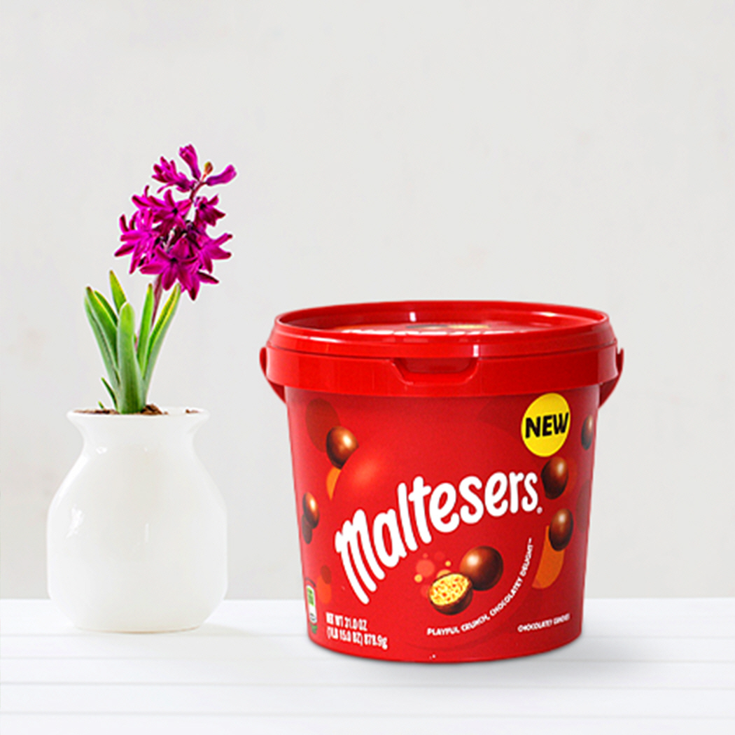 몰티져스 초코볼 465g