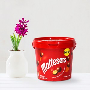 몰티져스 초코볼 465g