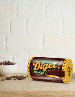 오리온 닥터유 다이제 초코 225g