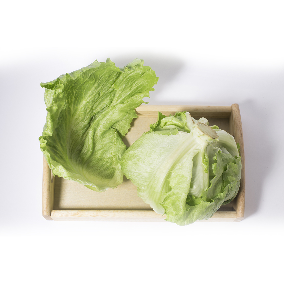 양상추 1통 (200g)