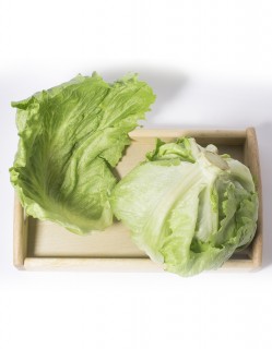 양상추 1통 (200g)