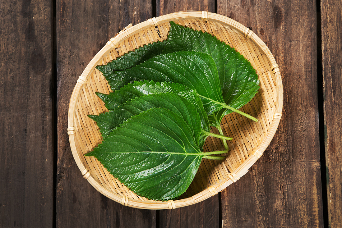추부 깻잎 1봉