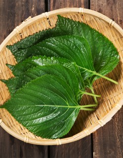 추부 깻잎 1봉