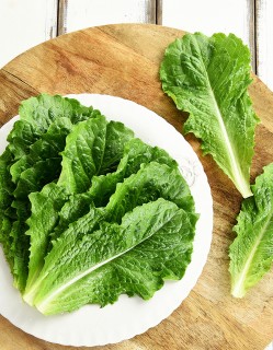 친환경 청상추 100g