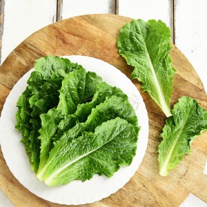 친환경 청상추 100g
