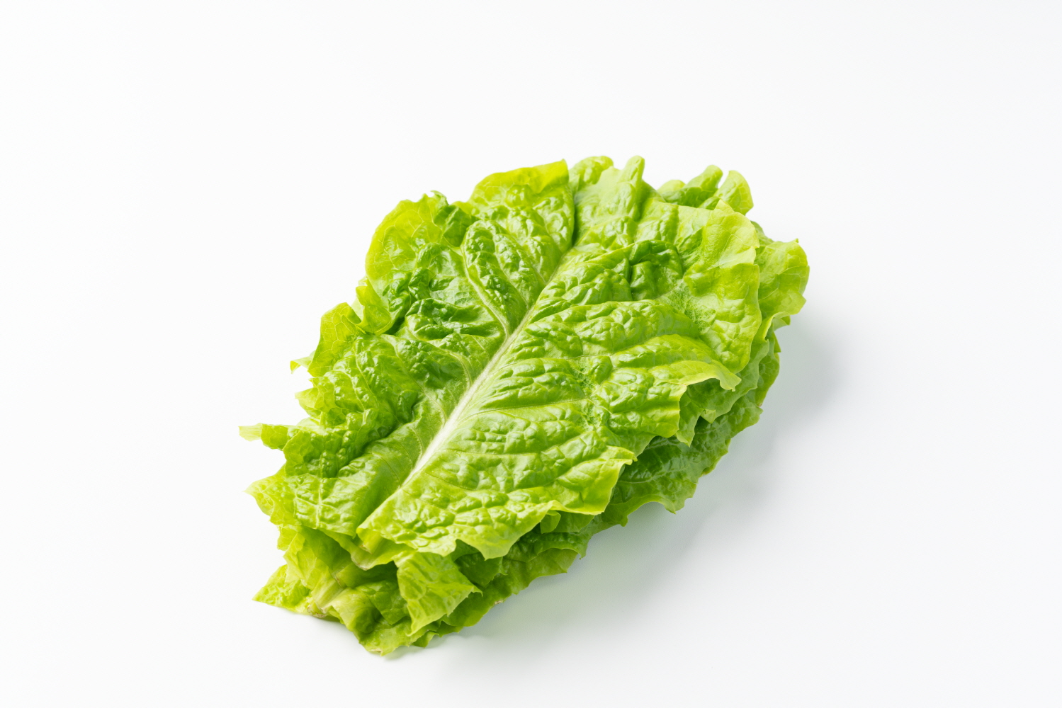 청상추 120g