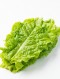청상추 120g