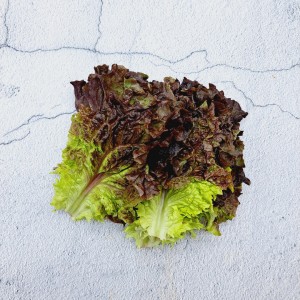 적상추 120g