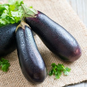 친환경 가지 2개
