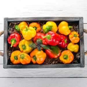 삼색 파프리카 3입