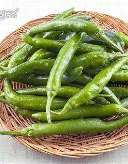 풋고추 150g