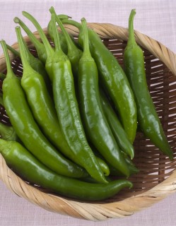 아삭이고추 200g