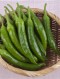 아삭이고추 200g