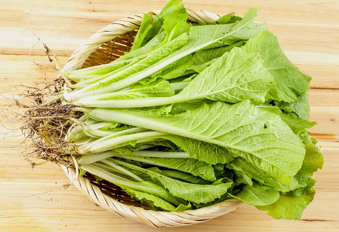 얼갈이 배추 1단 (1.5kg 내외)