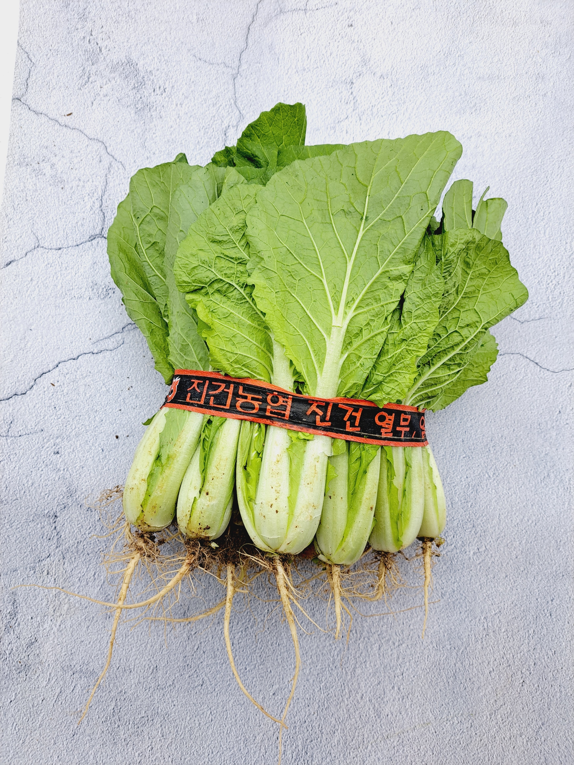 얼갈이 배추 1단 (1.5kg 내외)