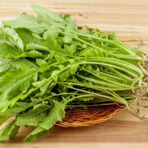 산지직송 포천 어린열무 2kg