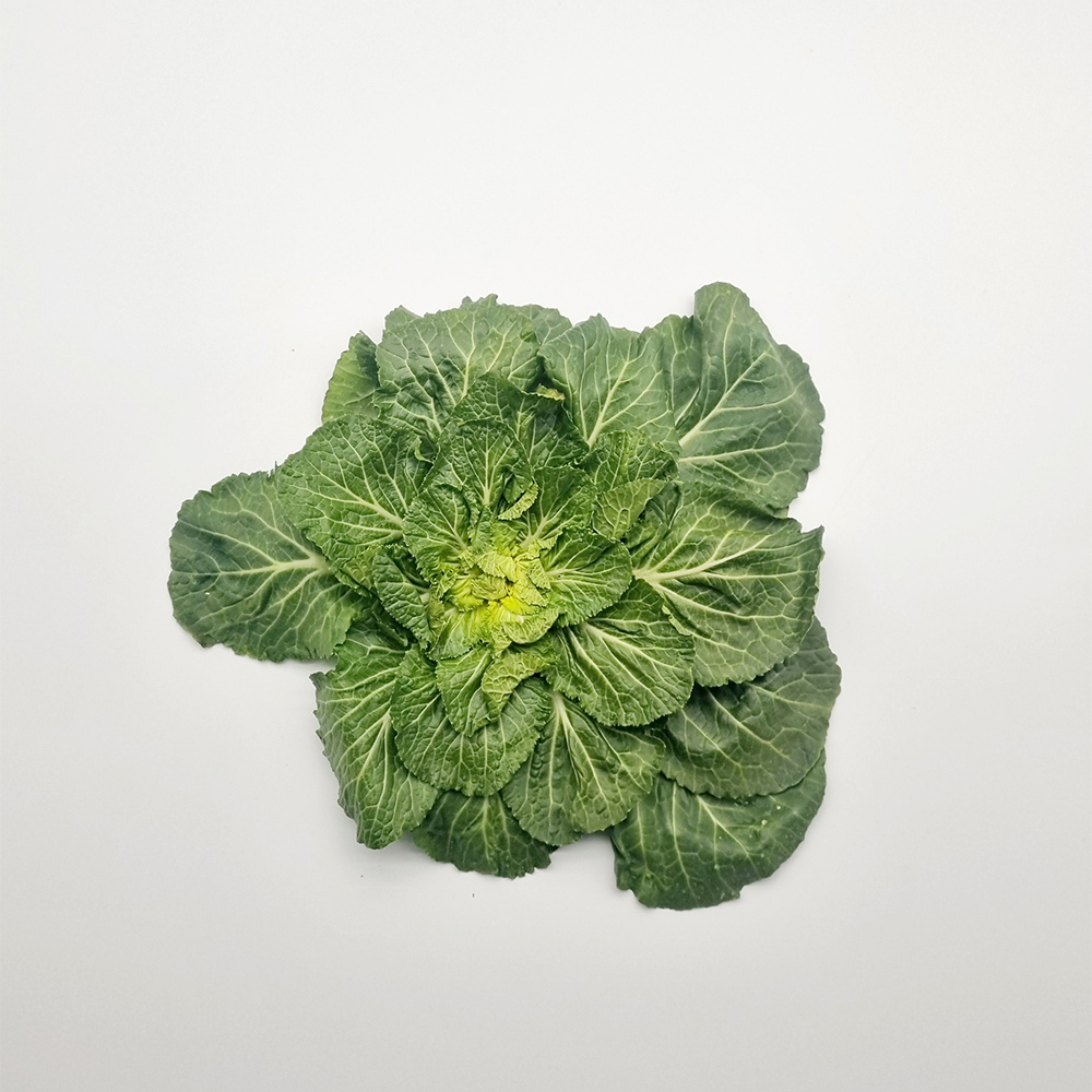 봄동 180g 내외