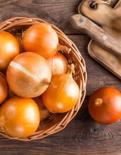 무안 햇양파 1.5kg
