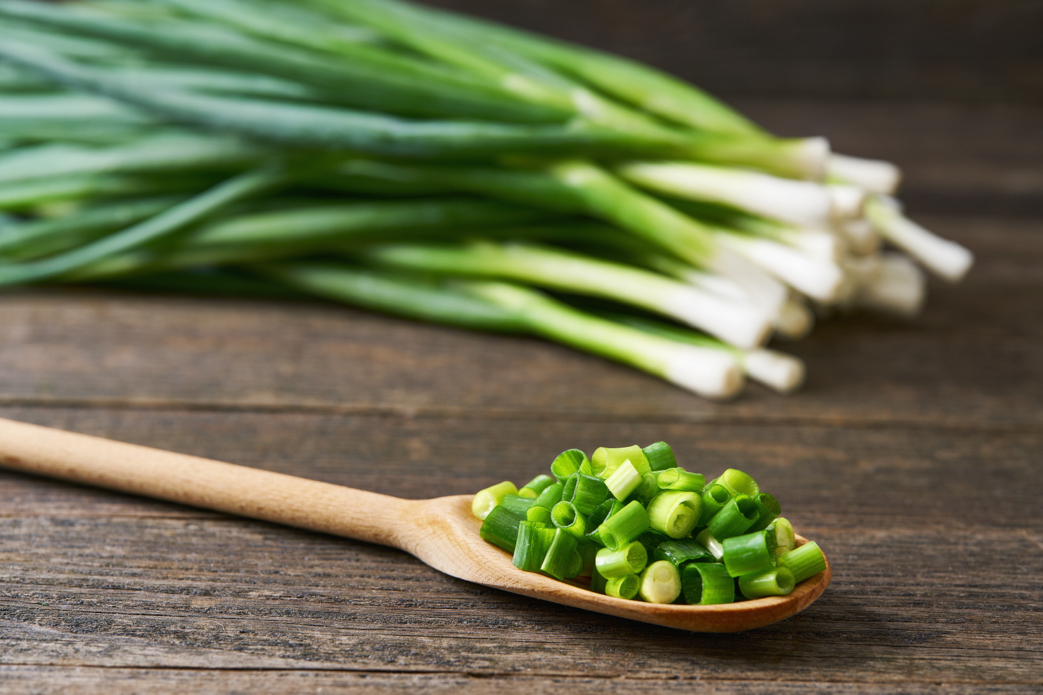 국내산 진도 대파 500g