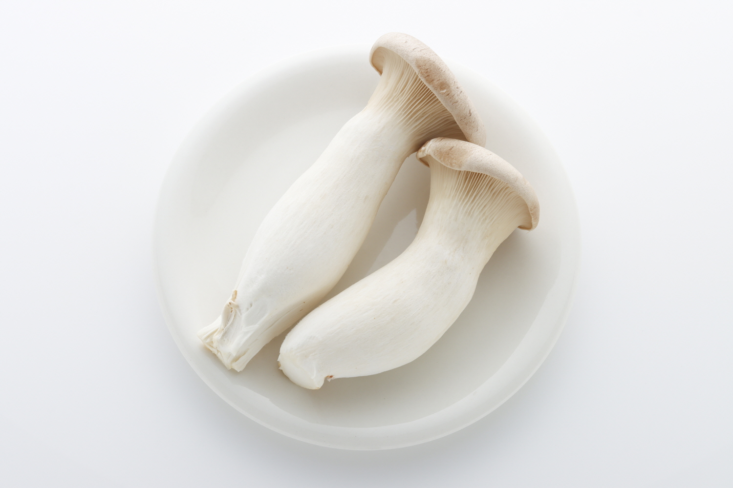 무농약 새송이 버섯 400g