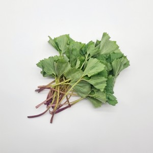 국내산 머위잎 150g