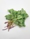 국내산 머위잎 150g