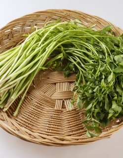 돌미나리 100g /1봉
