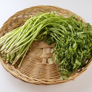 돌미나리 100g /1봉