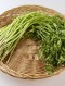 돌미나리 100g /1봉