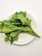 신선한 아욱 150g