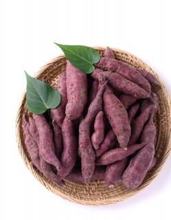 해남 한입 꿀 밤고구마 800g