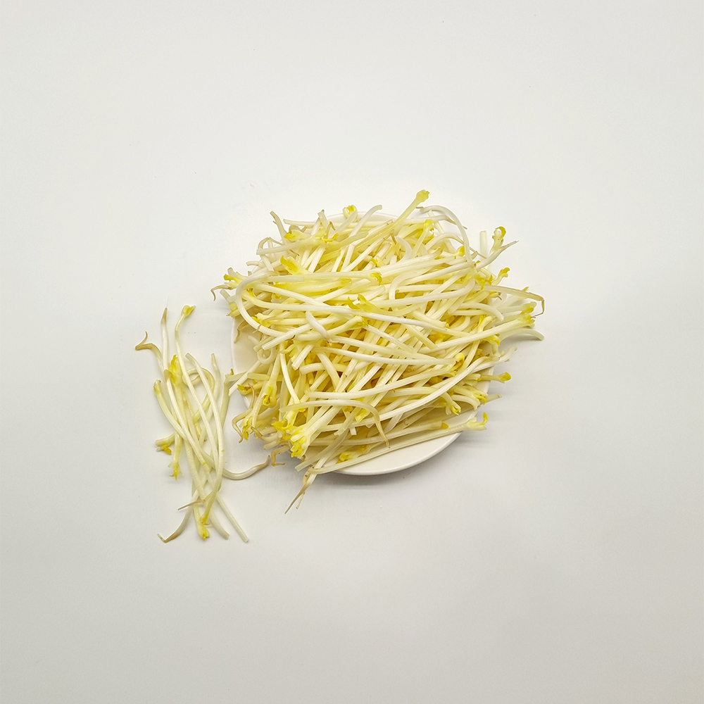 두절 찜용 콩나물 400g
