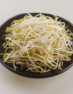 국내산 친환경 무농약 숙주나물 300g