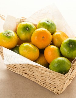 고당도 하우스 햇귤 400g