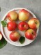 GAP 고당도 부사 사과 1kg (4입)