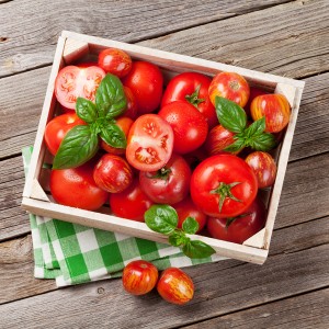 완숙토마토 (특) 5kg