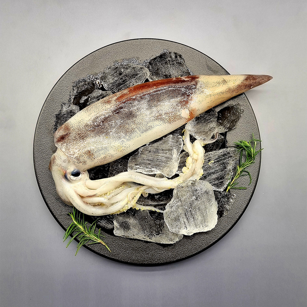 국내산 통 오징어 대 2미 (560g 내외)