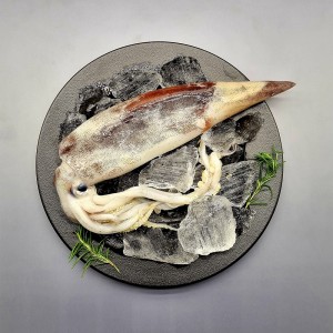 국내산 통 오징어 대 2미 (560g 내외)