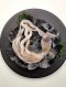 수입산 기절낙지 300g (2-3미)