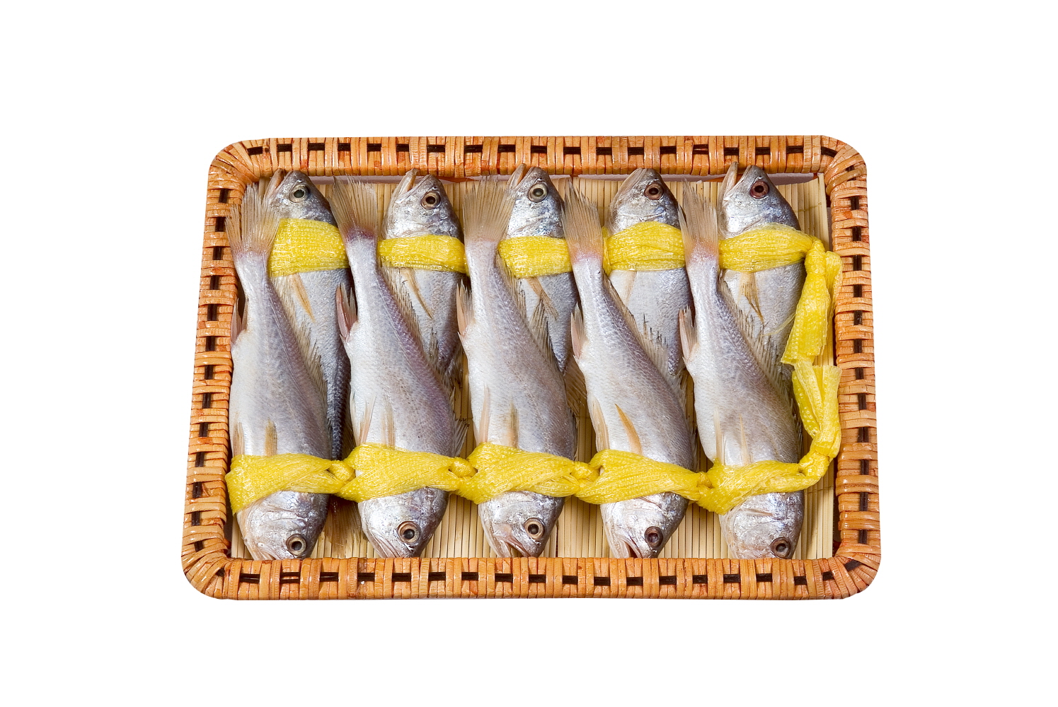 국내산 햇 참조기 350-380g (5미)