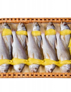 국내산 햇 참조기 350-380g (5미)