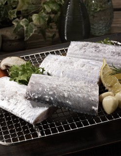 제주 은갈치 대 1마리