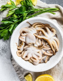 국내산 냉동 쭈꾸미 500g