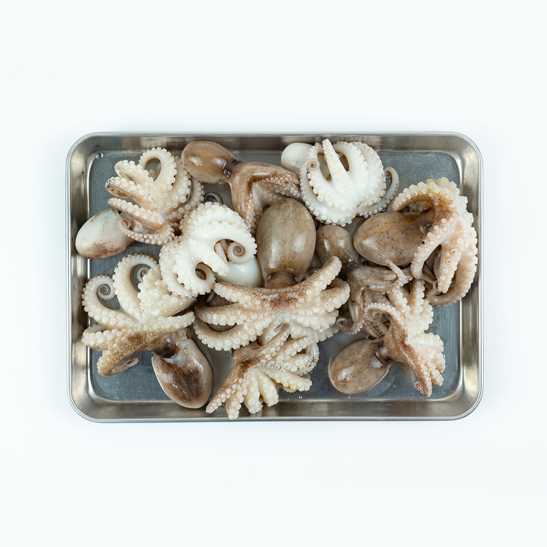 수입산 쭈꾸미 400g