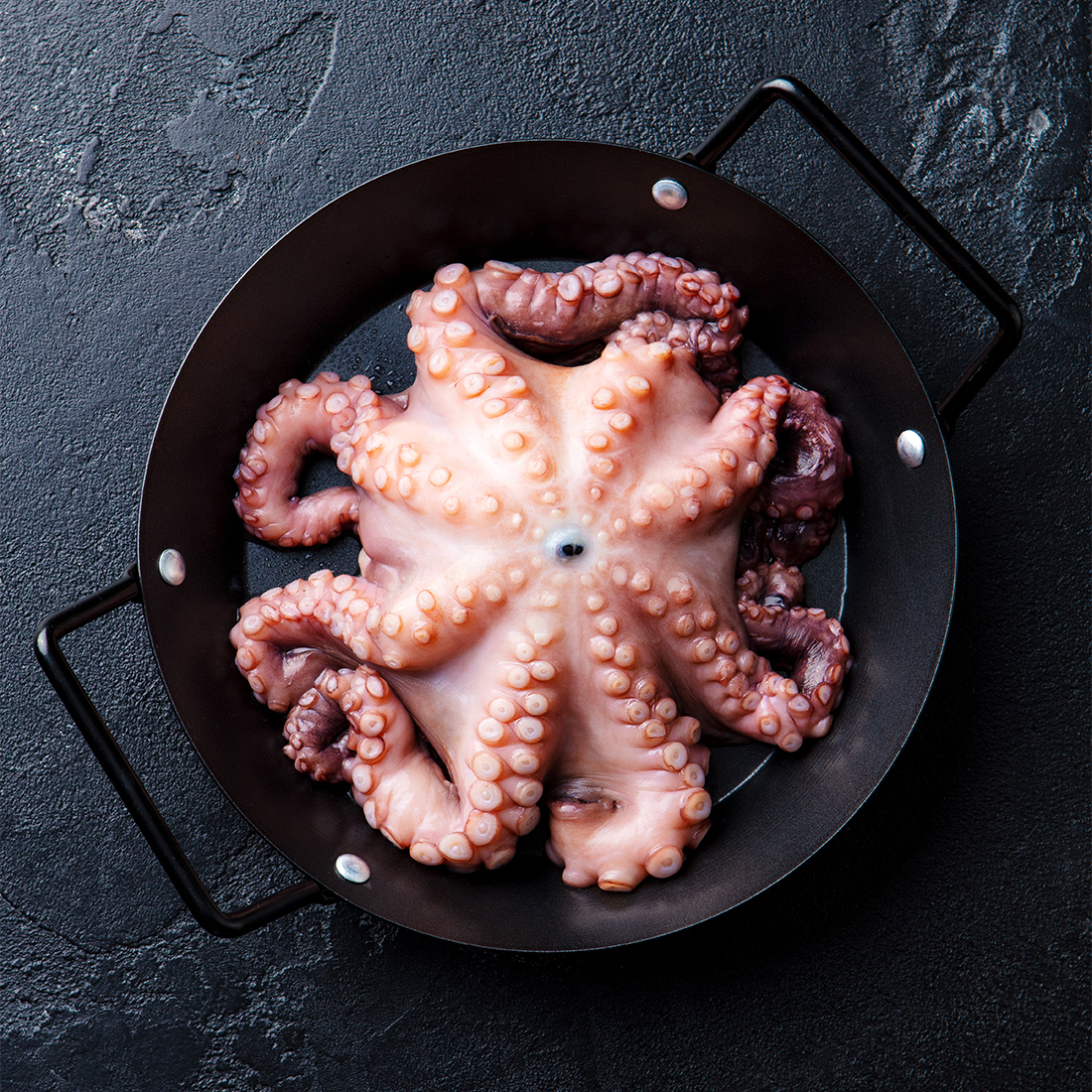 바로 삶아 보내는 자숙 돌문어 1kg(1-3미)