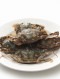 남해안 급냉 돌게 특대 1kg (7-11미)