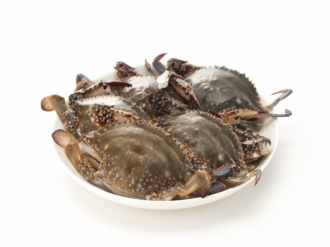 국산 급냉 알배기 암꽃게 1kg (5미)