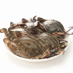 국산 급냉 알배기 암꽃게 1kg (5미)
