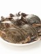 국산 급냉 알배기 암꽃게 1kg (5미)