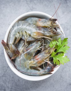 국내산 활 왕새우 500g(17-19미)